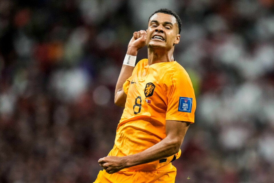 Cody Gakpo jubler for nok en VM-scoring i Nederlands seier over Qatar. Cody Gakpo jubler for nok en VM-scoring i Nederlands seier over Qatar. Foto: Moises Castillo / AP / NTB