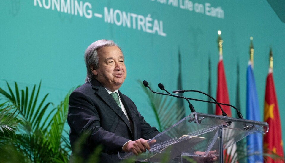 Kina, som har formannskapet, har helt unnlatt å invitere statsleder til COP15, skriver Christian Prip. På bildet FNs generalsekretær Antonio Guterres under åpningen av konferansen i Montreal. Kina, som har formannskapet, har helt unnlatt å invitere statsleder til COP15, skriver Christian Prip. På bildet FNs generalsekretær Antonio Guterres under åpningen av konferansen i Montreal.