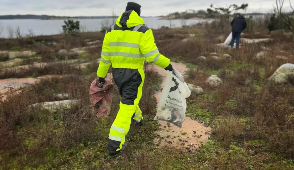 Deltakerne er ikke sjokkerte over de store mengdene plast de finner i naturreservatet, men det er kun fordi de ser det så ofte. Deltakerne er ikke sjokkerte over de store mengdene plast de finner i naturreservatet, men det er kun fordi de ser det så ofte.
