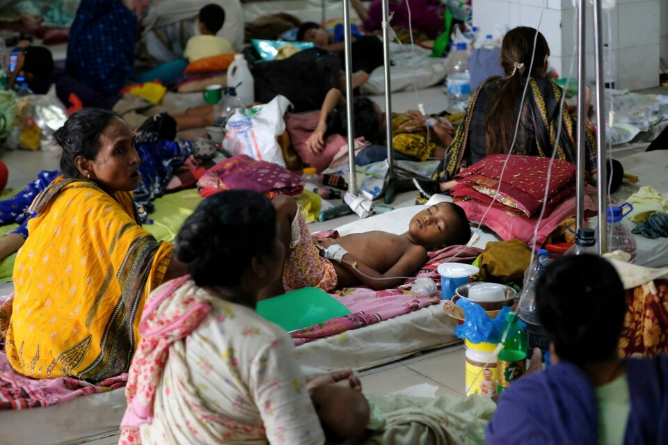 Et kraftig utbrudd av denguefeber sprer seg i Bangladesh. Et kraftig utbrudd av denguefeber sprer seg i Bangladesh. Foto: Mahmud Hossain Opu / AP / NTB