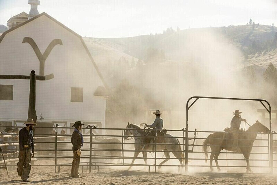Den tøffe kampen mot naturkrefter, mektige næringslivsfolk, korrupsjon og grådighet som familien Dutton lever under i «Yellowstone», har blitt en stadig større global suksess det siste året. Neste år settes punktum for denne serien, men den skal følges opp av en hel rekke avleggere. En scene fra populære «Yellowstone» – som er i sluttfasen. Foto: Paramount Network / AP