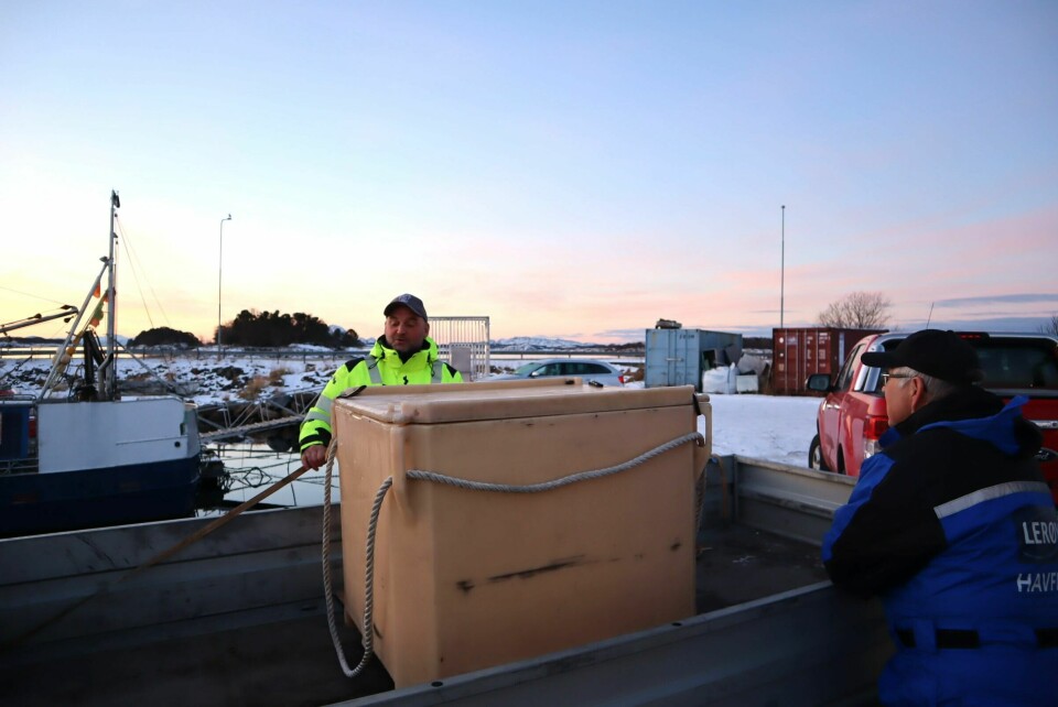 Ken-Richard Hansen (t.v) tar av stroppene på fraktekassen, der det ligger 50,5 kilo kveite klar til å selges. Julian Andreassen har stoppet innom for å slå av en prat. Ken-Richard Hansen og Julian Andreassen på kaia i Brønnøysund.