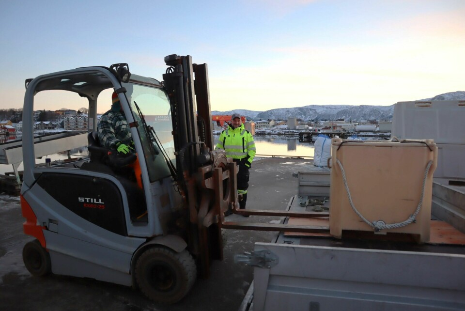 Jan-Erik Mortensen, som arbeider ved fiskemottaket, kommer med trucken for å losse kveita Hansen har med fra havet. Ken-Richard Hansen og Julian Andreassen på kaia i Brønnøysund.