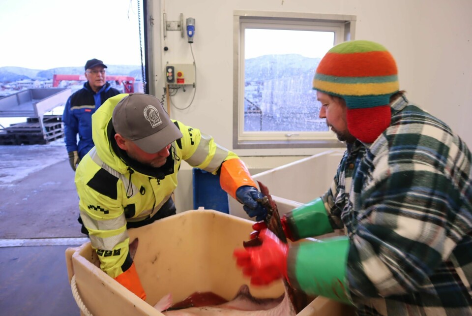 Ken-Richard Hansen får en hjelpende hånd fra mottaks-ansvarlig Jan-Erik Mortensen (t.h). Ken-Richard Hansen, Jan-Erik Mortensen.
