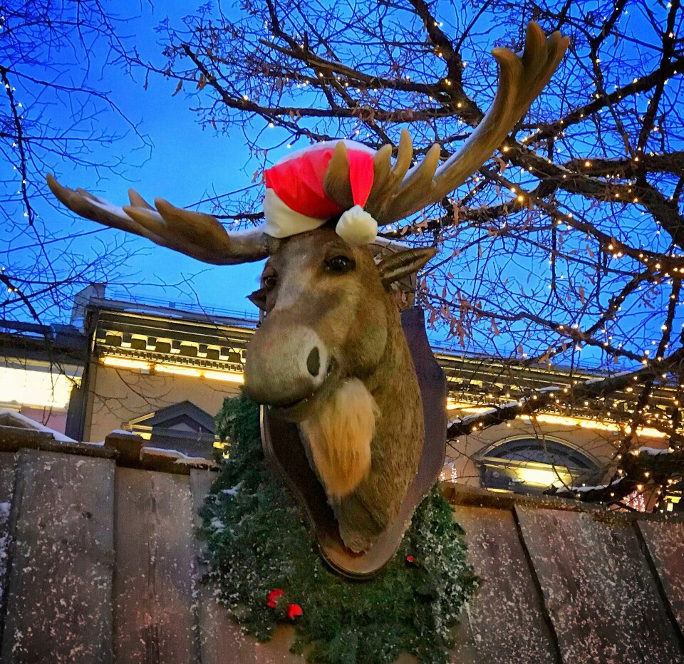 De beste førjulsopplevelsene ###