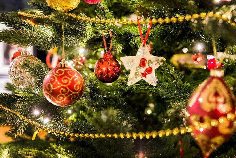 Bare de ekte treene lukter jul. Foto: Gorm Kallestad/NTB scanpix
