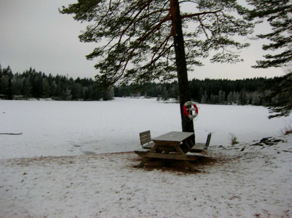 På frosne stier i drammensmarka. FOTO: KJELL BUENE