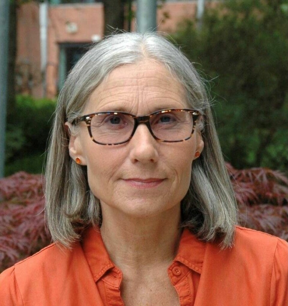 Kristin Holte Haug er dosent ved OsloMet og tidligere barnevernsansatt. Kristin Holte Haug