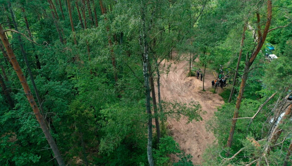 Flyfoto av området der massegraven ble funnet. Flyfoto av området der massegraven ble funnet.
