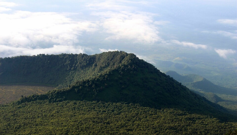 Flere av de omstridte leteområdene i Kongo ligger i nasjonalparken Virunga, som er bosted for de kritisk utrydningstruede fjellgorillaene. Bildet viser en utdødd vulkan i Virunga-parken. Flere av de omstridte leteområdene i Kongo ligger i nasjonalparken Virunga, som er bosted for de kritisk utrydningstruede fjellgorillaene. Bildet viser en utdødd vulkan i Virunga-parken. Foto: Juergen Baetz / DPA / AP / NTB