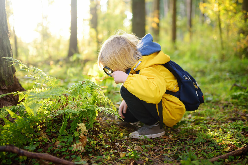 Å ta et skogsbad som voksen har mange paralleller til hvordan barn opplever og utforsker skogen, sier skogsbadguide Dagheid Solholm. Å ta et skogsbad som voksen har mange paralleller til hvordan barn opplever og utforsker skogen, sier skogsbadguide Dagheid Solholm.