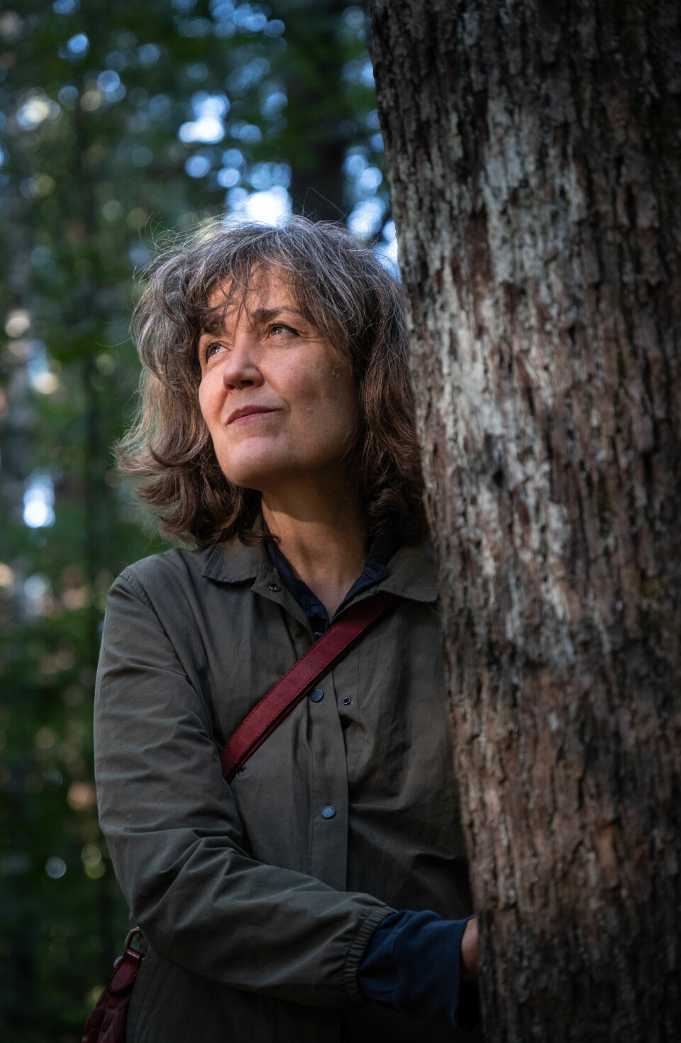 Sosionom Eva Linnea Hedberg ved akuttpsykiatrisk avdeling på Ahus er overbevist om at skogsbading kan ha en nytteverdi i behandling av psykiske lidelser. Sosionom Eva Linnea Hedberg ved akuttpsykiatrisk avdeling på Ahus er overbevist om at skogsbading kan ha en nytteverdi i behandling av psykiske lidelser.