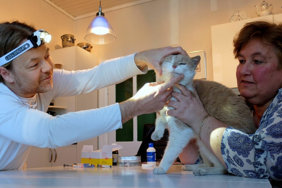 Anne-Lise Slotsgrund følger med mens Baileys får sin årlige helsesjekk og vaksine av dyrlege Espen Slotsvik. FOTO: PERNILLE VESTENGEN Anne-Lise Slotsgrund følger med mens Baileys får sin årlige helsesjekk og vaksine av dyrlege Espen Slotsvik. FOTO: PERNILLE VESTENGEN