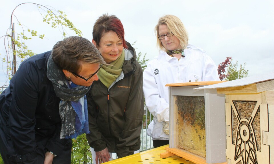 Miljøvernminister Tine Sundtoft åpnet i går verdens første pollinatorpassasje. I midten direktør for Det Norske Hageselskap Tove Berg og Anne Sofie Hansen i ByBi. FOTO: TOM VESTRENG Miljøvernminister Tine Sundtoft åpnet i går verdens første pollinatorpassasje. I midten direktør for Det Norske Hageselskap Tove Berg og Anne Sofie Hansen i ByBi. FOTO: TOM VESTRENG