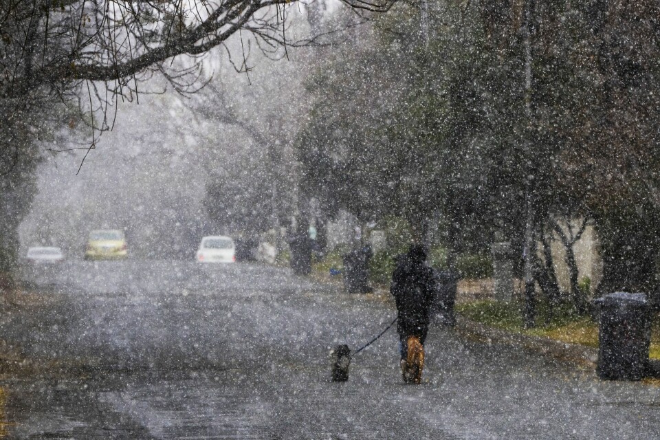 En mann var ute og luftet hunden i snøværet i Johannesburg mandag. Foto: AP / NTB En mann var ute og luftet hunden i snøværet i Johannesburg mandag. Foto: AP / NTB