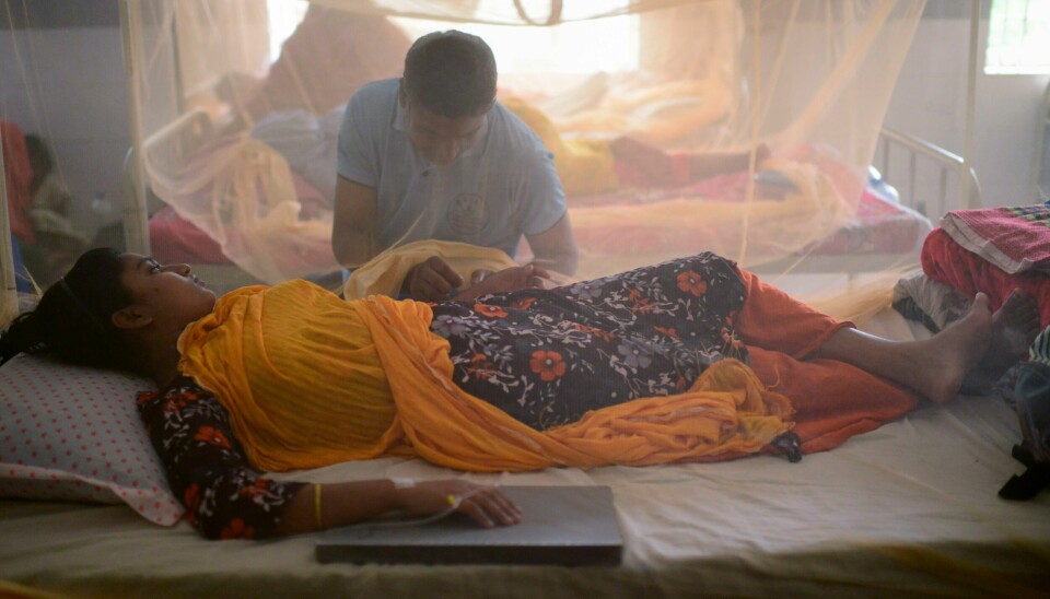 Utbruddet av denguefeber i Bangladesh har krevd flere hundre liv. Myndighetene frykter langt høyere dødstall i august. Utbruddet av denguefeber i Bangladesh har krevd flere hundre liv. Myndighetene frykter langt høyere dødstall i august. Foto: Mahmud Hossain Opu / AP / NTB