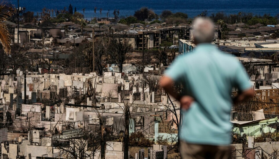 Etter den katastrofale brannen i Lahaina på Maui, dynges beboerne ned med skambud på eiendommer. Etter den katastrofale brannen i Lahaina på Maui, dynges beboerne ned med skambud på eiendommer. Foto: Jae C. Hong / AP / NTB