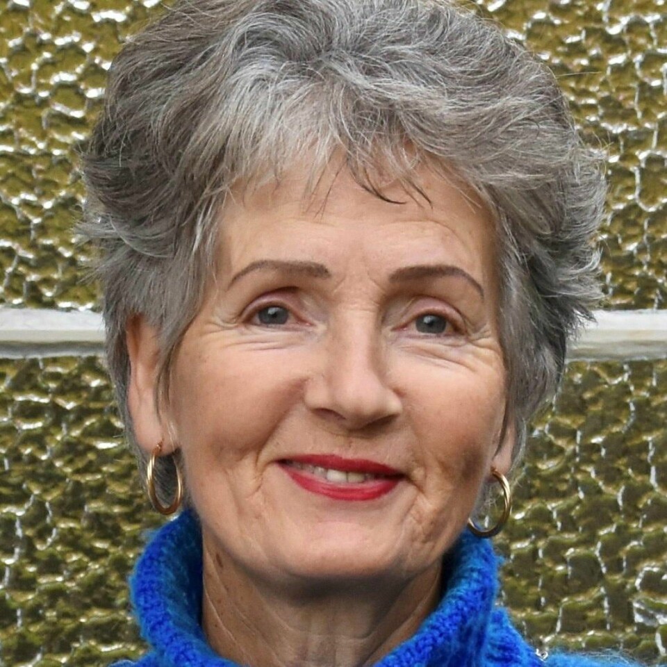 Elisabeth Jørgensen Singh er cand.mag., forlegger, skribent og billedkunstner. Elisabeth Jørgensen Singh