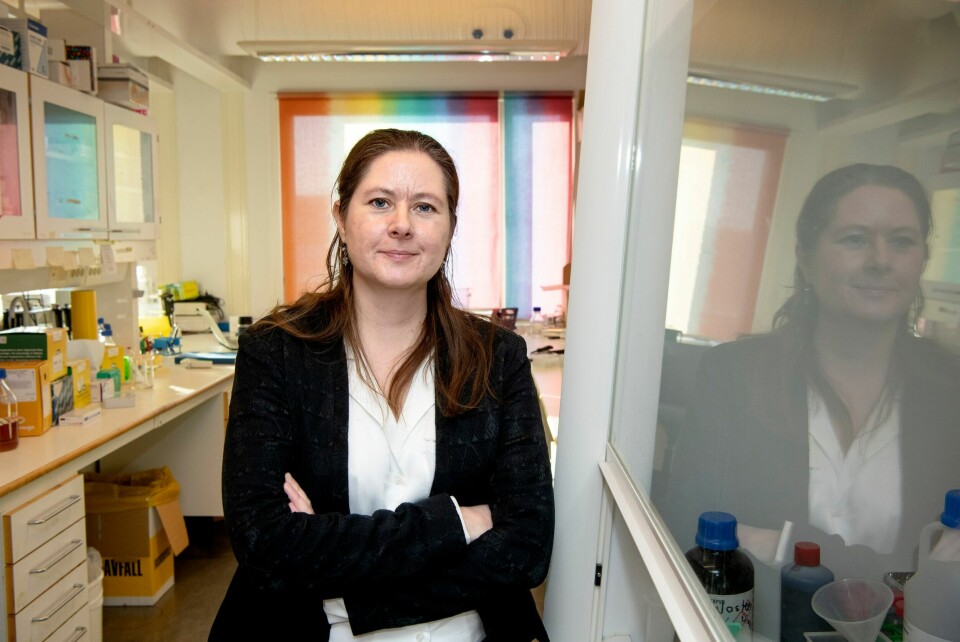 Gunnveig Grødeland, forsker innen vaksineutvikling og immunologi ved Universitetet i Oslo. Gunnveig Grødeland, forsker innen vaksineutvikling og immunologi ved Universitetet i Oslo.