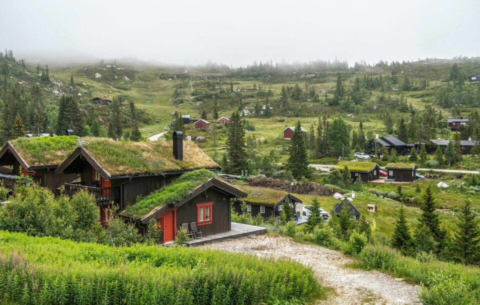 Daglig vurderes naturen som mindre verdifull enn inntektene fra hyttetomter, tømmer og skogsbilveier, utvinning av mineraler, kraftproduksjon og fiskeoppdrett, skriver kronikkforfatterne. Bildet er fra Tempelseter, et hyttefelt i Sigdal i Viken. Hyttefelt