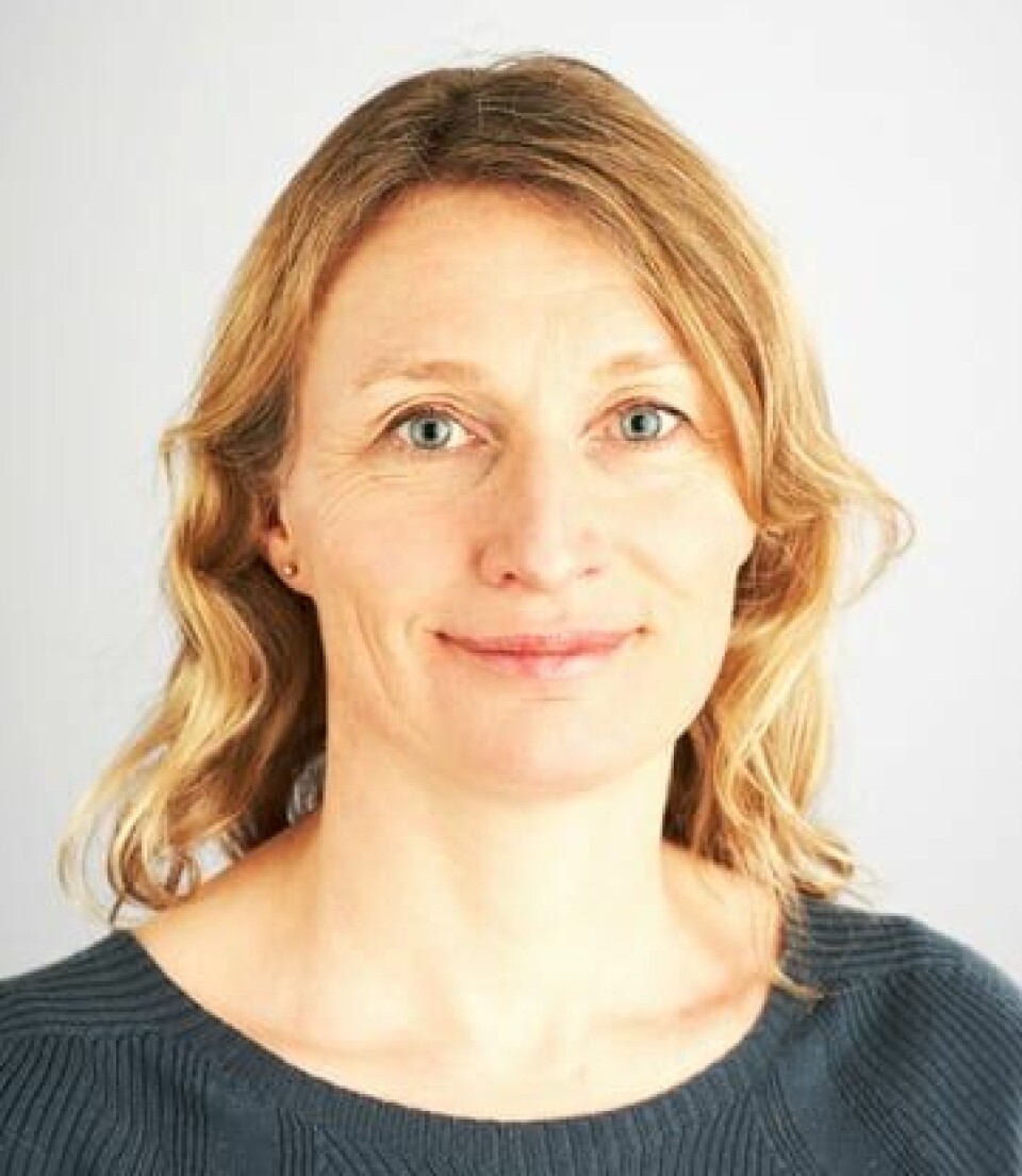 Kristine Grimsrud er seniorforsker i forskningsavdelingen i Statistisk sentralbyrå. Kristine Grimsrud