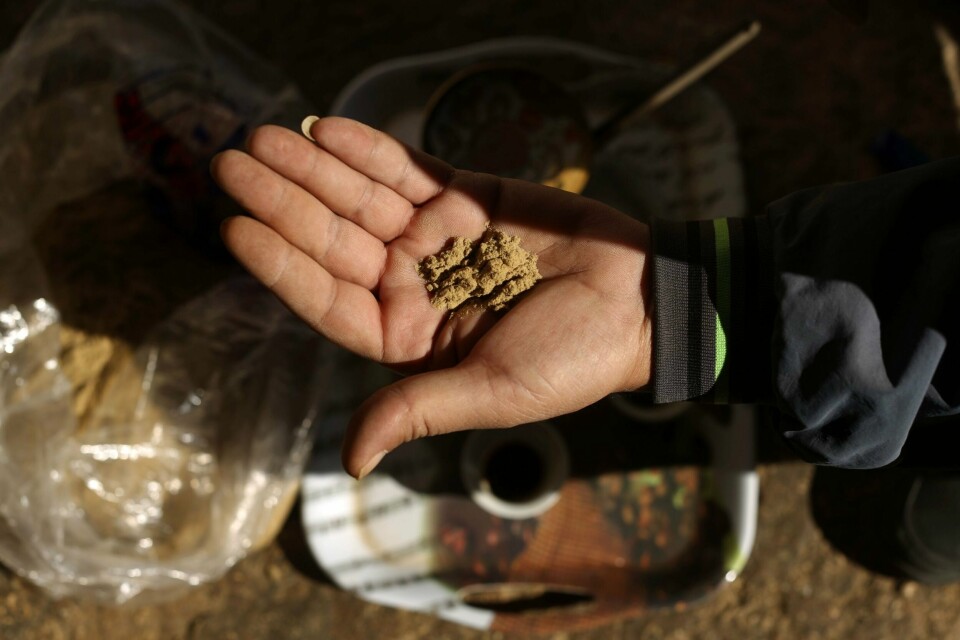 Illustrasjonsbilde av Cannabis. Foto: AFP
