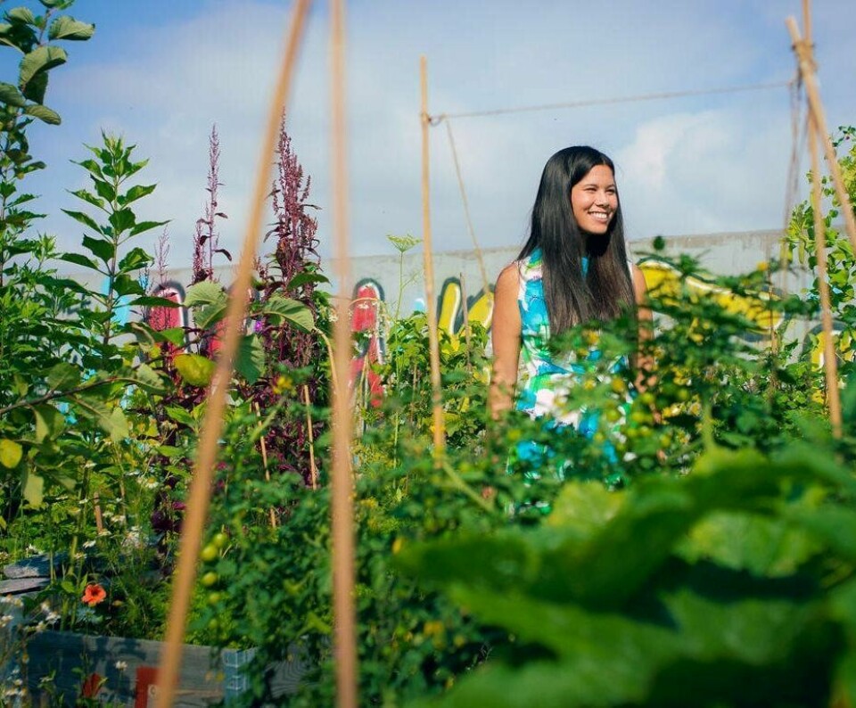 Miljøbyråd Lan Marie Nguyen Berg (MDG) vil ha mer grønt i Oslo. Nå gir hun bort penger til oslofolk som vil dyrke noe selv.