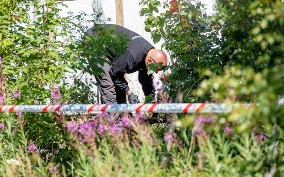 Kripos brukte blant annet hund til å søke i området der Christian Halvorsen ble funnet død søndag 12. juli.