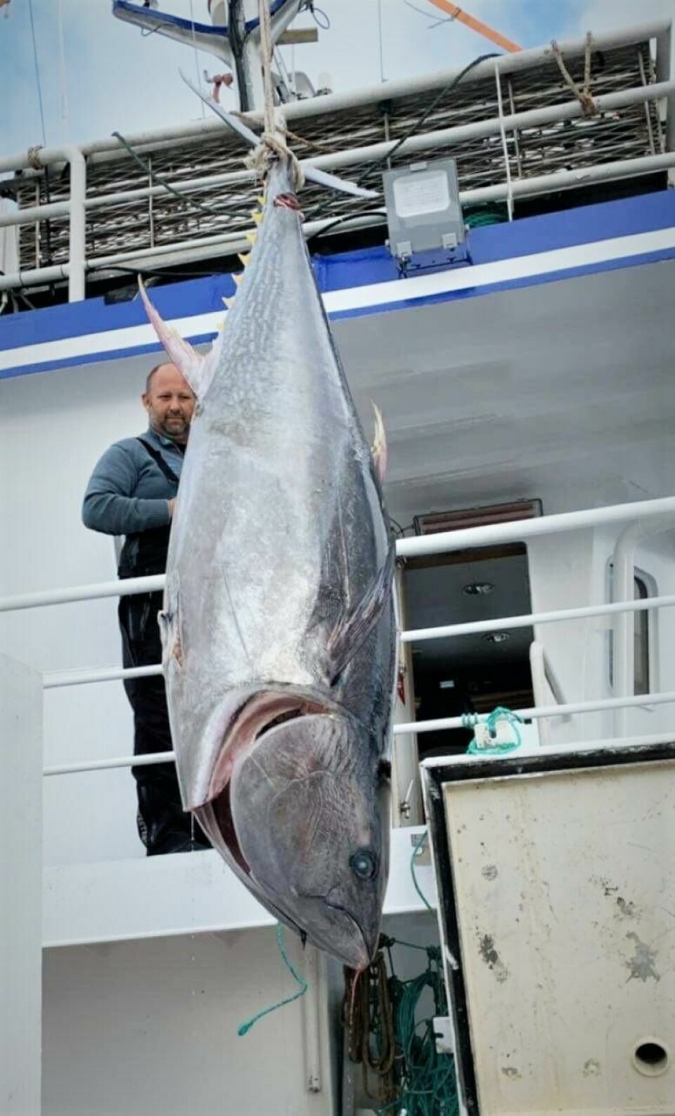 Olaf Iversen og mannskapet har dratt i land en monsterfisk: En makrellstørje på 340 kilo. – Det er den største matfisken som finnes, så dette var gøy, sier Hvaler-kapteinen. Olaf Iversen og mannskapet har dratt i land en monsterfisk: En makrellstørje på 340 kilo. – Det er den største matfisken som finnes, så dette var gøy, sier Hvaler-kapteinen.