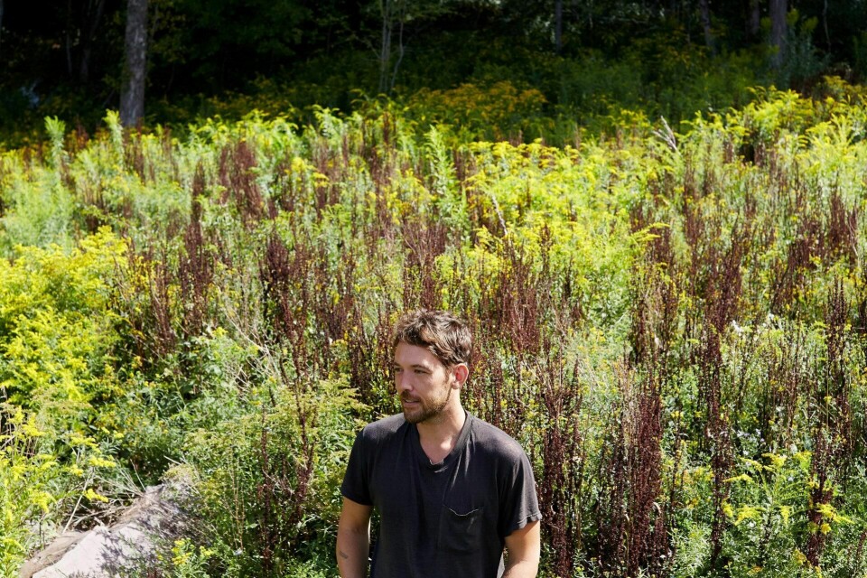 Robin Pecknold i omgivelser som antyder sånn omtrent hvordan Fleet Foxes høres ut.