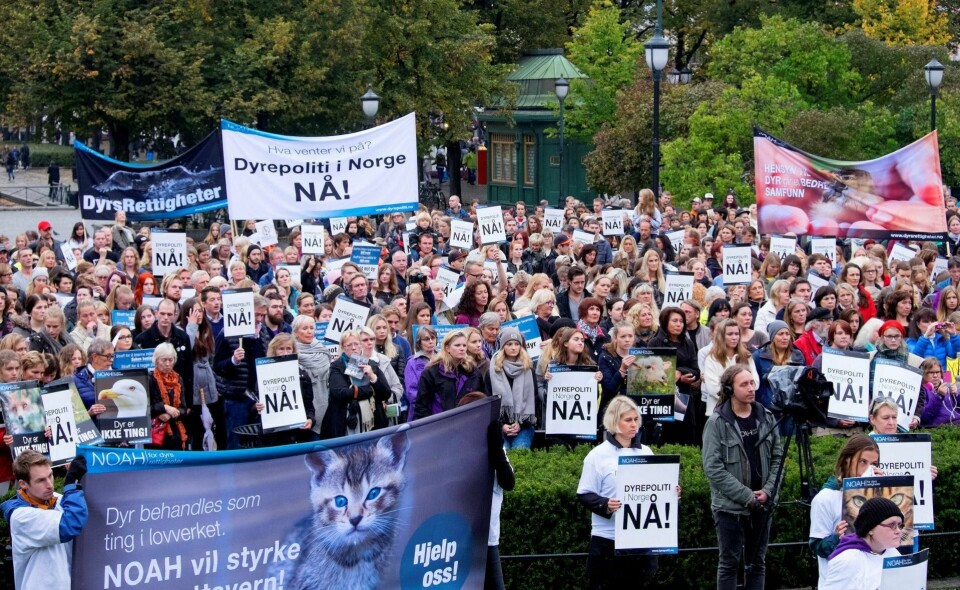 ETTERTRAKTET: I 2017 etterforsket politiet i Øst politidistrikt 38 saker som gikk på dyrevelferd. Så langt i år har tallet nådd 34, ifølge avsnittsleder Siw-Monica Bjørk Eriksen. Her fra en markering av Dyrerettighetsorganisasjonen NOAH i 2014.