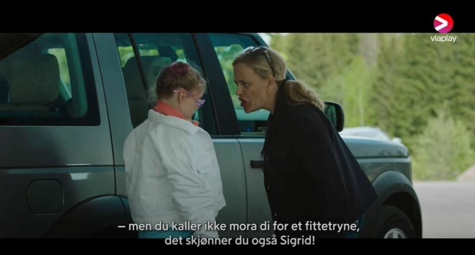 Særdeles gode skuespillerprestasjoner av liten og stor gjør Henriette Steenstrups humordrama mer levende og troverdig enn det meste annet du har sett av norsk drama de siste årene. Henriette Steenstrup er både serieskaper og hovedrolle i humorserien Pørni.