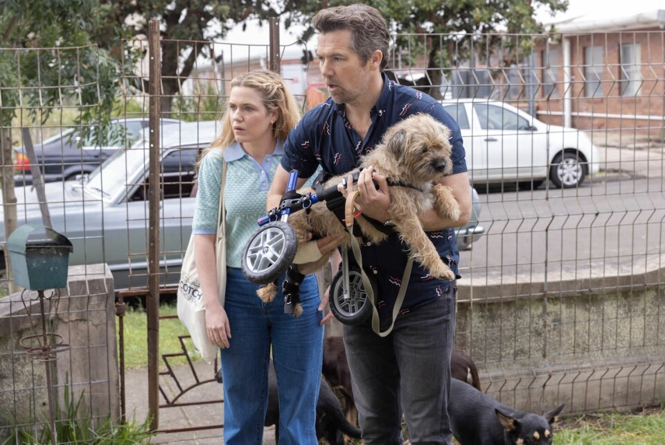Gordon og Ashley blir kjent fordi han kjører på en hund, når hun har flashet en pupp for ham. Et tilfeldig møte en vanlig morgen ender opp i en absurd og morsom australsk semi-romantisk komedie. Gordon og Ashley blir kjent fordi han kjører på en hund, når hun har flashet en pupp for ham. Et tilfeldig møte en vanlig morgen ender opp i en absurd og morsom australsk semi-romantisk komedie.