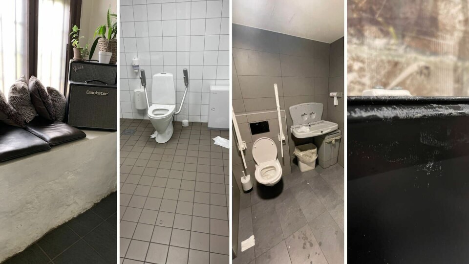 Her er litt av det Horne har funnet på sine turer rundt i Fredrikstad. Edel Irene Heldahl Horne, diverse stellerom som får stryk