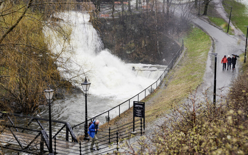 Rehabiliteringen av Akerselva skal snart feires med elvevandring. Arrangørene spør om ikke elva bør bli den første i Norge som får status som juridisk person. Å gi utvalgt natur økt status i loven vil kanskje vekke oss til å se hva vi forvalter med nye øyne, skriver Andrew P. Kroglund. Bildet viser Akerselva i vårflom for to år siden. Akerselva i Oslo, vann og nedbør, flom