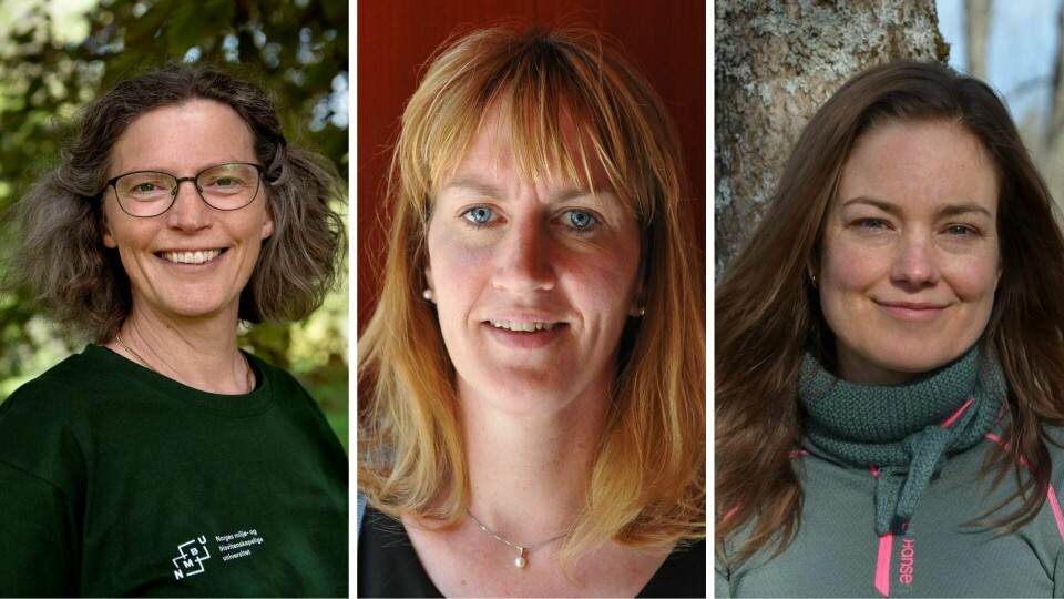 F.v: Anne Sverdrup-Thygeson (professor ved NMBU og forfatter), Charlotte Sletten Bjorå (professor og botaniker ved Naturhistorisk museum, Universitetet i Oslo) og Julie Sørlie Paus-Knudsen (biolog og rådgiver i Sabima).(Mimsy Møller/UiO/Sabima) F.v: Anne Sverdrup-Thygeson (professor ved NMBU og forfatter), Charlotte Sletten Bjorå (professor og botaniker ved Naturhistorisk museum, Universitetet i Oslo) og Julie Sørlie Paus-Knudsen (biolog og rådgiver i Sabima).