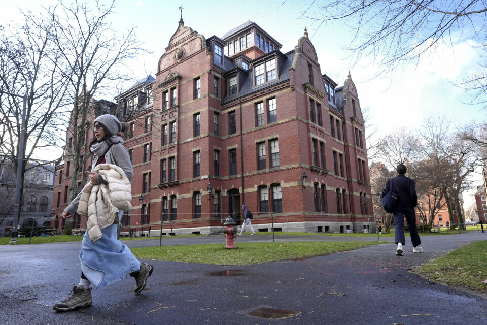 Harvard registrerte nesten 6800 internasjonale studenter i skoleåret 2024-2025, noe som utgjør 27 prosent av den totale studentmassen. Nå mister universitetet tillatelsen til å ta opp utenlandske studenter. Harvard registrerte nesten 6800 internasjonale studenter i skoleåret 2024-2025, noe som utgjør 27 prosent av den totale studentmassen. Nå mister universitetet tillatelsen til å ta opp utenlandske studenter. Foto: AP Photo/Steven Senne/NTB