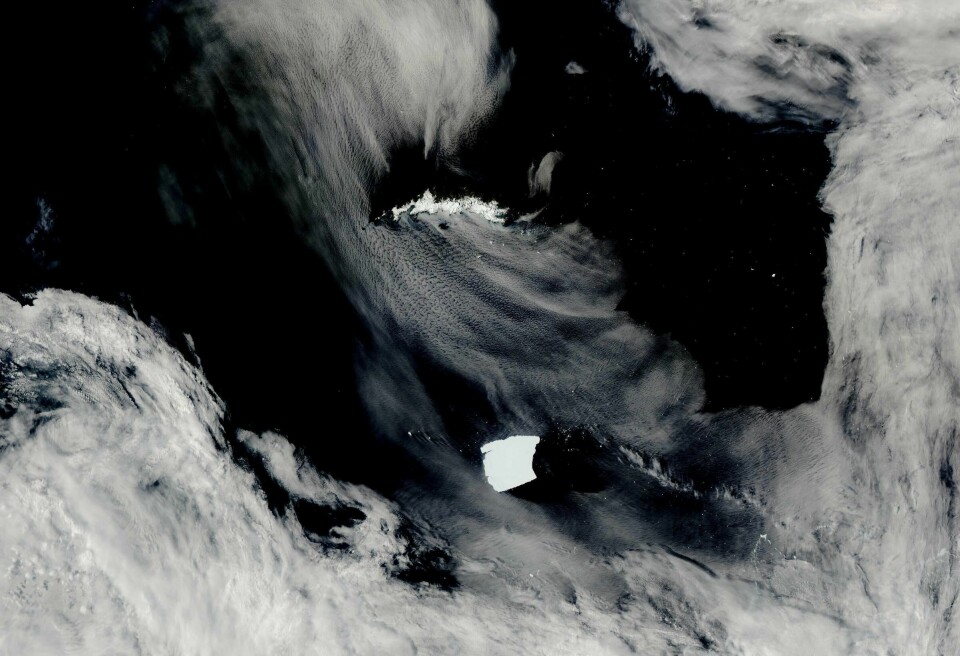 A23a sett på NASAs Aqua-satelitt 15. januar 2025, på vei mot øya Sør-Georgia.(NASA Worldview via AP/AP) An iceberg seen on NASA’s Aqua satellite, known as A23a, center, is visible as it heads toward South Georgia Island, top, on Jan. 15, 2025, off the coast of Antarctica. (NASA Worldview via AP)