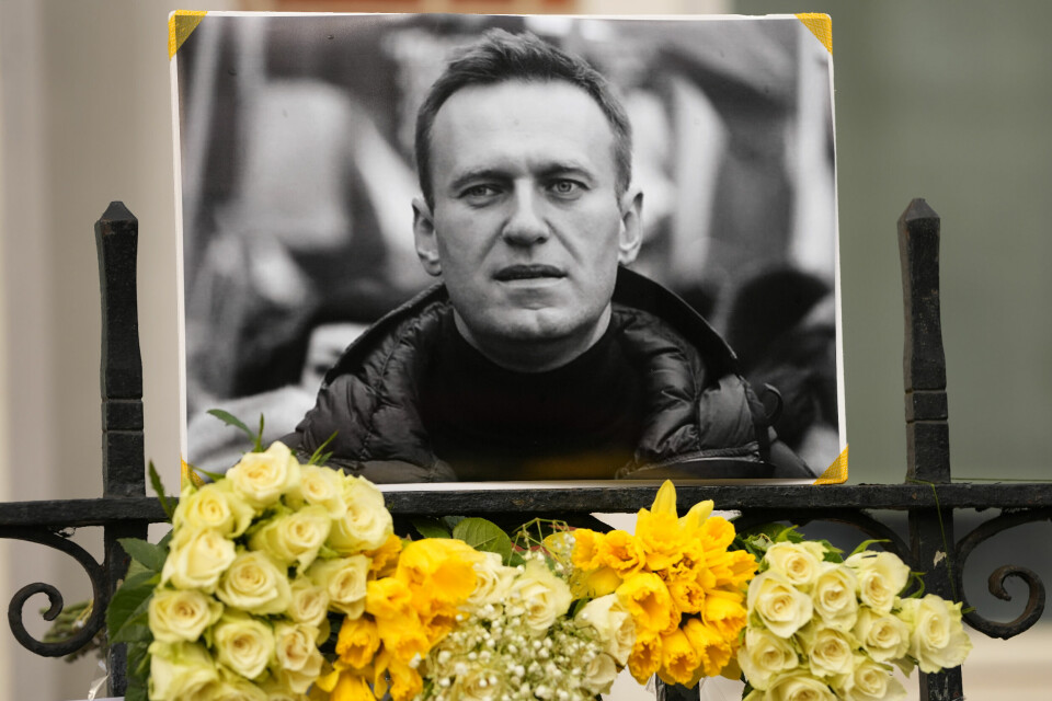 Regimekritikeren Aleksej Navalnyj døde for ett år siden søndag, 47 år gammel. Den 47 år gamle Aleksej Navalnyj døde i en russisk fangeleir i forrige uke, men dødsårsaken er ikke fastslått. Tilhengere av regimekritikeren hevder at han ble drept på ordre fra president Vladimir Putin. Utenfor den russiske ambassaden i London ble det i helgen lagt ned blomster til minne om Navalnyj. Foto: AP / NTB
