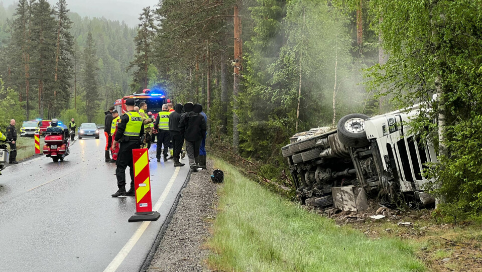 Et vogntog med 28 kyr veltet i Gransheradvegen i Notodden kommune søndag ettermiddag. Et vogntog med 28 kyr veltet i Gransheradvegen i Notodden søndag ettermiddag. Foto: Åslaug Birgitte Græsvold / Telen / NTB