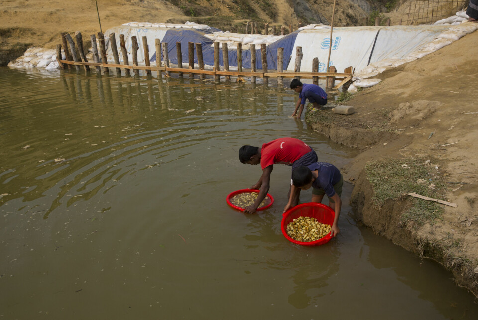 Rohingya-gutter vasker poteter i en flyktningleir i Bangladesh. Rohingya-gutter vasker poteter i en flyktningleir i Bangladesh. Arkivfoto: Manish Swarup / AP / NTB