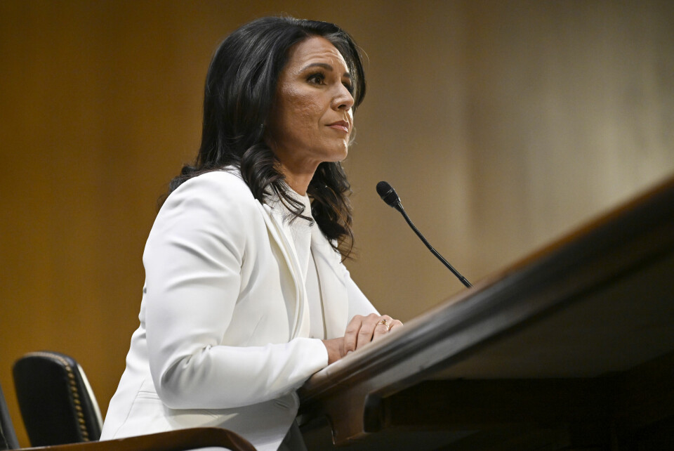 Tulsi Gabbard da hun ble grillet i Senatet i januar. Tulsi Gabbard da hun ble grillet i Senatet i januar. Foto: John McDonnell / AP / NTB