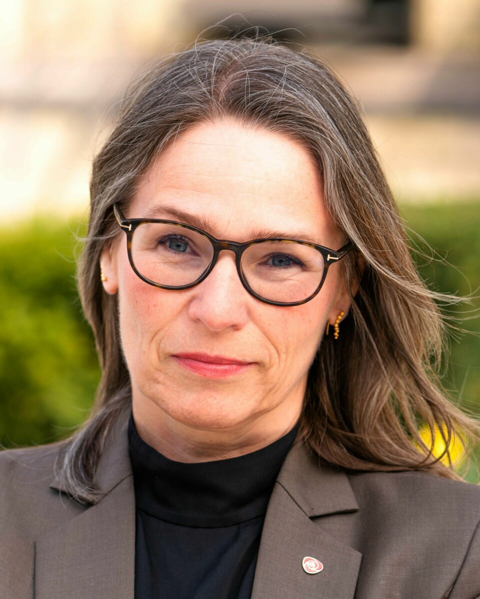 Trine Lise Sundnes er stortingsrepresentant for Arbeiderpartiet.(Kristian Horpestad) Trine Lise Sundnes, stortingsrepresentant for Arbeiderpartiet