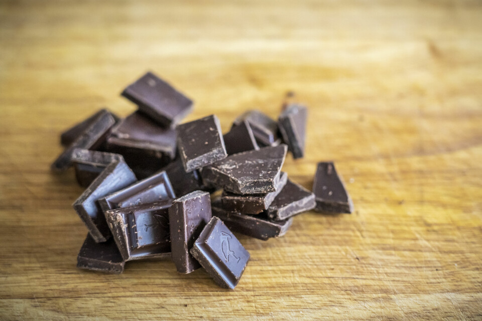 Sjokolade inneholder teobromin som er giftig for hunder. Jo høyere kakaoinnhold og jo mørkere sjokoladen er, dess mer teobromin inneholder den. Foto: Ole Berg-Rusten / NTB Økende priser på verdensmarkedet for kakaobønner kan føre til dyrere sjokolade. Foto: Ole Berg-Rusten / NTB