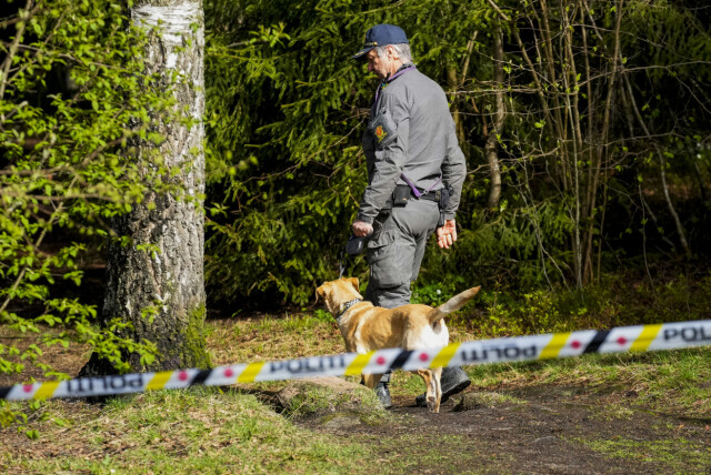 Politiet har etterforsket med store ressurser på Oppsal etter drapet på Metkel Betew. Politiet ved åstedet langfredag. Et større skogsområde er sperret av. Foto: Terje Bendiksby / NTB