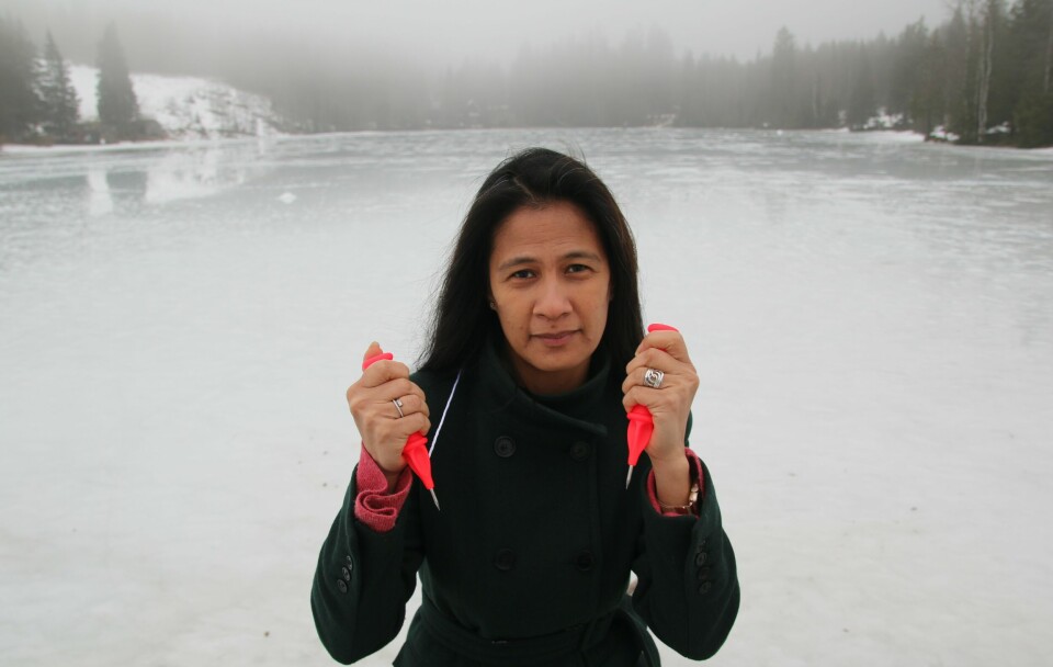 Claire Alfonso, president i Norges Livredningsselskap, advarer mot å overvurdere isen på vannet om våren. Hun synes turgåere bør lære seg isvettreglene. Claire Alfonso, president i Norges Livredningsselskap, advarer mot å overvurdere isen på vannet om våren. Hun synes turgåere bør lære seg isvettreglene.