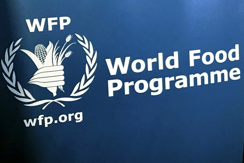 Tre FN-ansatte i Verdens matvareprogram (WFP) er drept i et luftangrep i Sudan, opplyser organisasjonen. Illustrasjonsfoto. Tre FN-ansatte i Verdens matvareprogram (WFP) er drept i et luftangrep i Sudan, opplyser organisasjonen. Illustrasjonsfoto: Robert Bumstead / AP / NTB