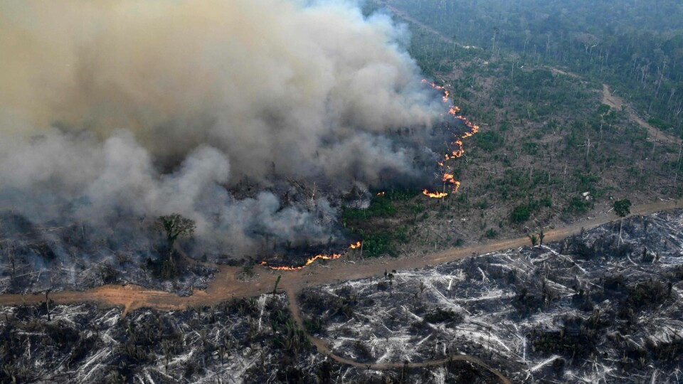Når verdens grønne lunger står i fare for å kollapse, er det ikke flere mål vi trenger – men konkrete, rettferdige og effektive tiltak, skriver Hilde Nagell. Bildet viser brann i Amazonas i august 2024. Aerial view of an area of Amazon rainforest deforested by illegal fire in the municipality of Labrea, Amazonas State, Brazil, taken on August 20, 2024. . Last year the world lost 67,000 square kilometres (25,900 square miles) of precious primary tropical forest due in large measure to fires fuelled by climate change, researchers reported on May 21, 2025. The loss was 80 percent higher than in 2023, according to the Global Forest Watch think tank. (Photo by EVARISTO SA/AFP)