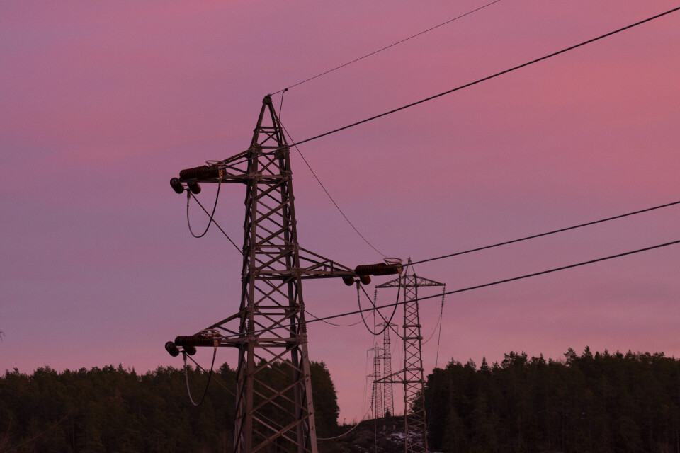 Mange er kritiske til innføringen av norgespris. Mange er kritiske til innføringen av norgespris. Foto: Erik Flaaris Johansen / NTB