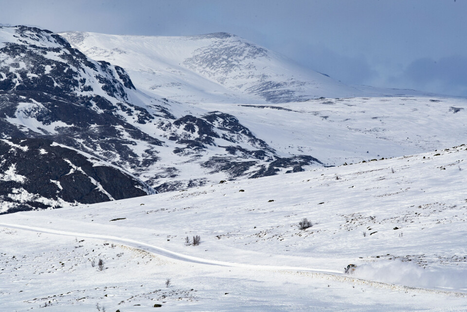Vadresflya i Jotunheimen. Illustrasjonsfoto. Vadresflya i Jotunheimen. Illustrasjonsfoto.